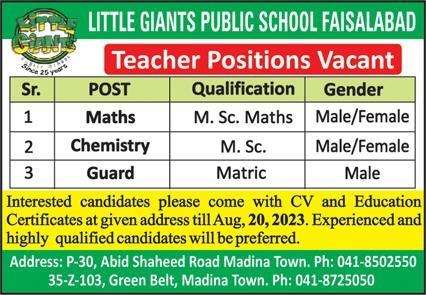 Jobs in Little Giants Public School Faisalabad