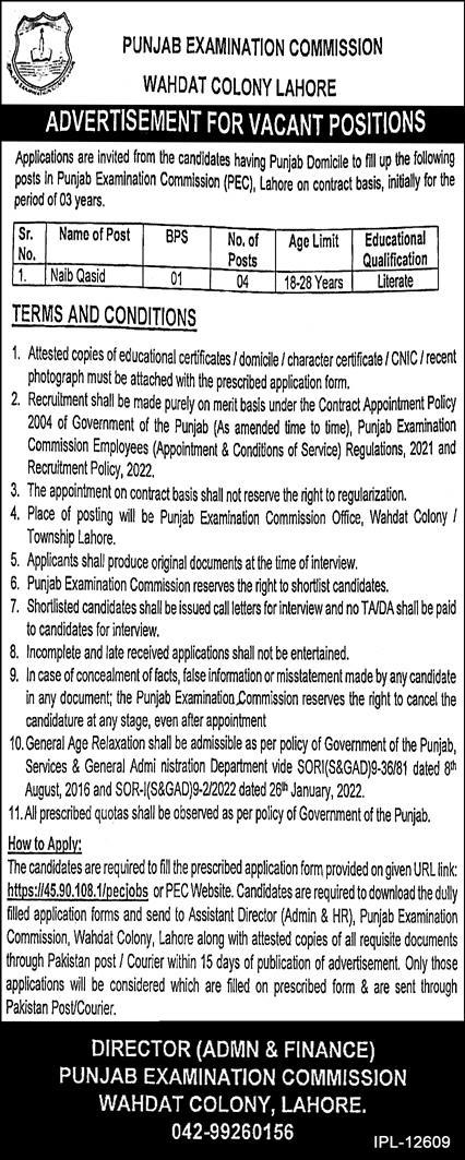 Jobs in Punjab Examination Commission