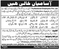 Jobs in Professional Employers Pvt Ltd