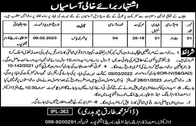 Job Opportunities in Agriculture Department