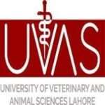 Veterinary Medicine UVAS