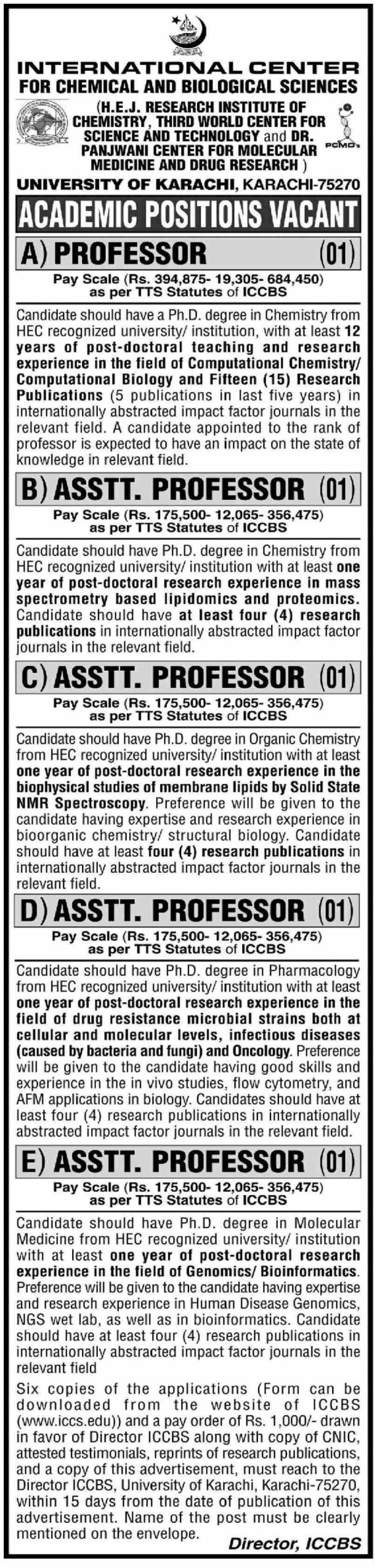 ICCBS University of Karachi Jobs